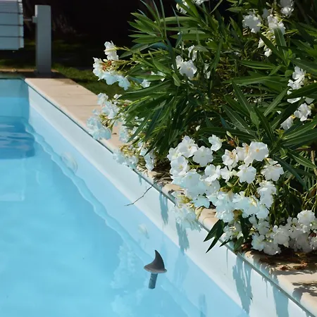 Piscine Chauffée Hébergement de vacances La Bernerie-en-Retz