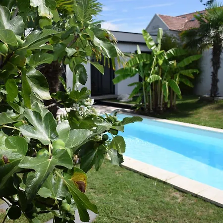 Piscine Chauffée Hébergement de vacances La Bernerie-en-Retz